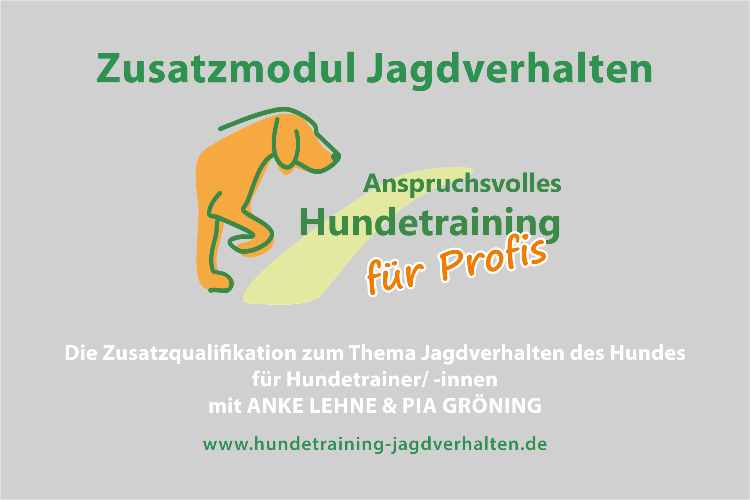 Abo Praxis Wissensvertiefung - fuer unsere (ehemaligen) TeilnehmerInnen